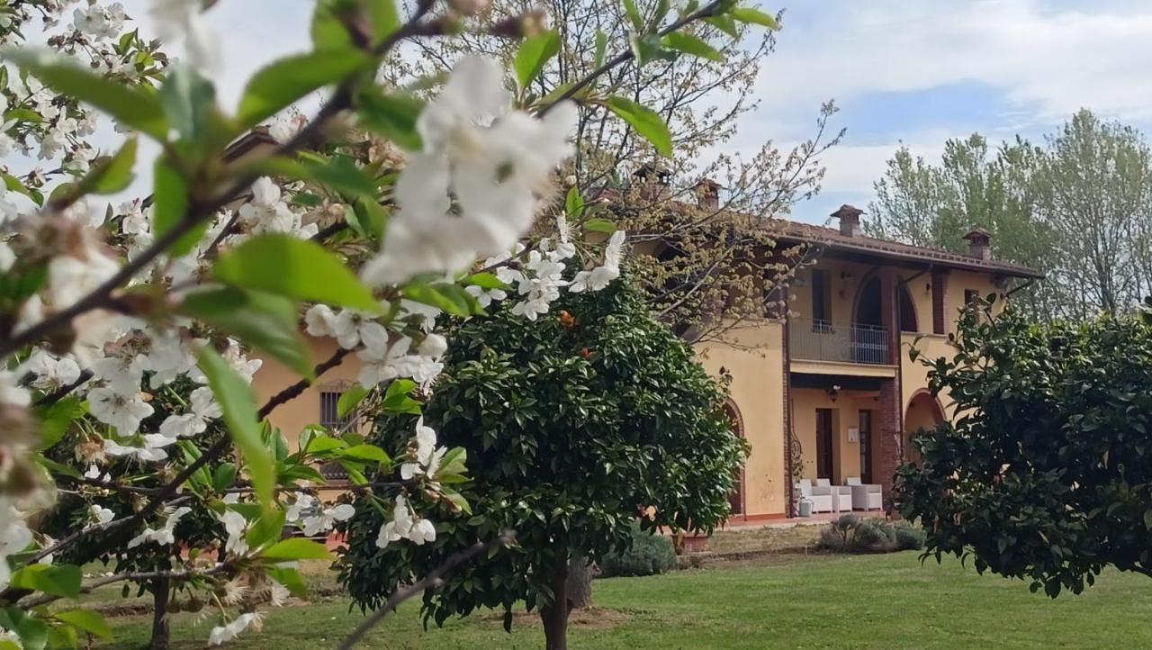 Il Chiassetto Agriturismo No Kids 키쉬나 외부 사진