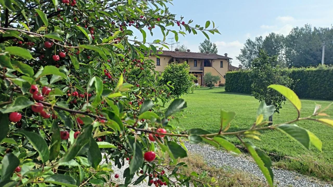 Il Chiassetto Agriturismo No Kids 키쉬나 외부 사진