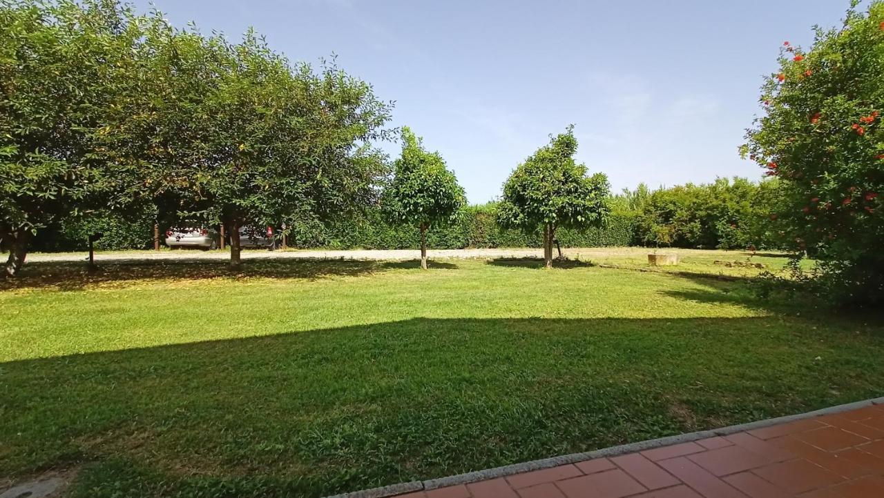 Il Chiassetto Agriturismo No Kids 키쉬나 외부 사진