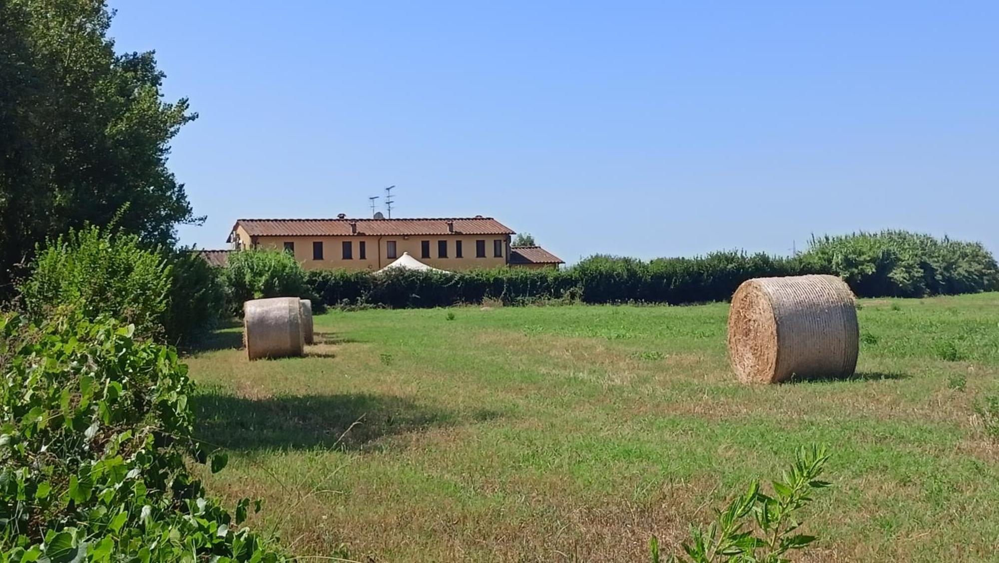 Il Chiassetto Agriturismo No Kids 키쉬나 외부 사진